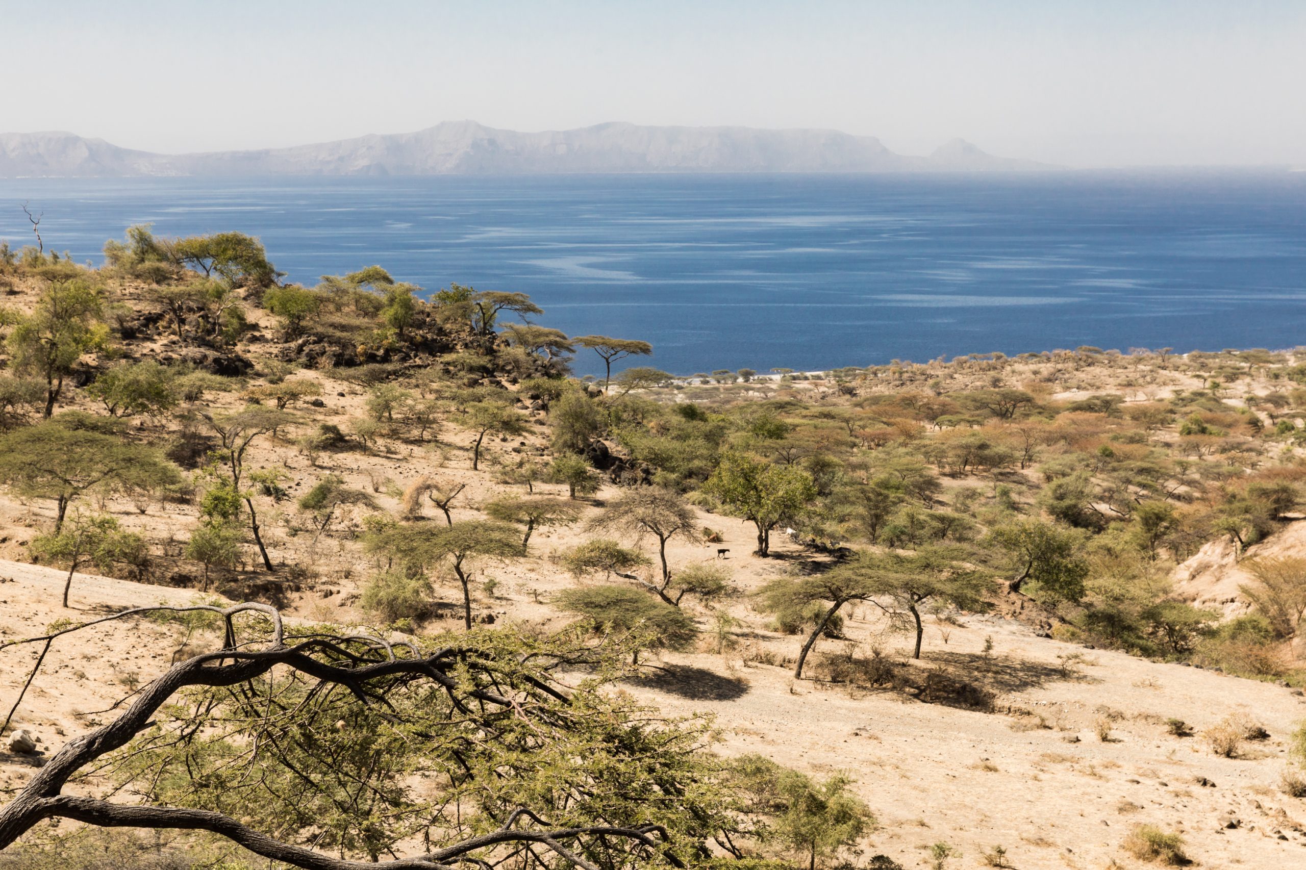 Abijatta-Shalla_National_Park_in_Ethiopia_03